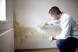 Best Post-Construction Mold Inspection  in Childress, TX